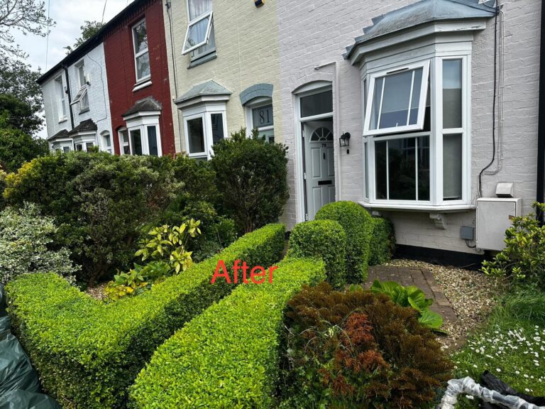 WhatsApp Image 2025-07-28 at 11.30.15 AM (3)