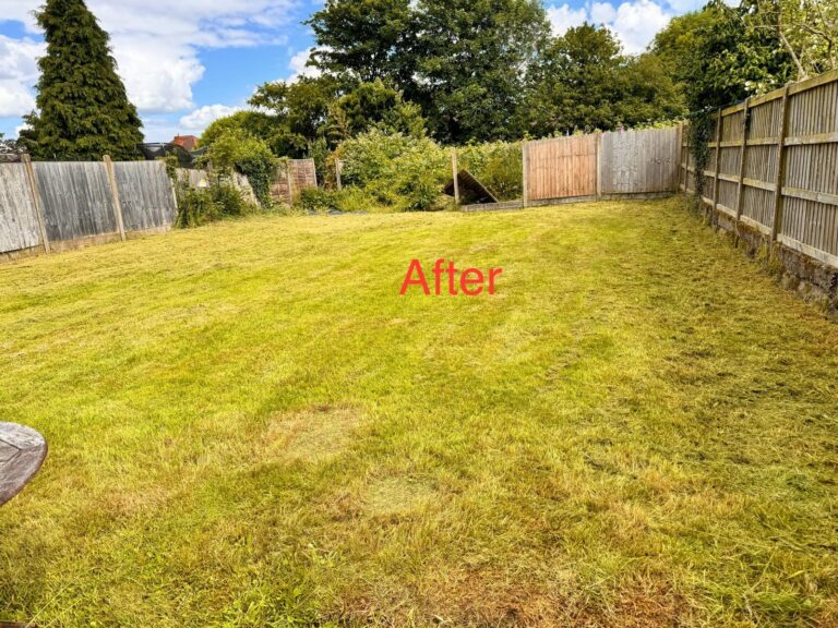 WhatsApp Image 2025-07-28 at 11.30.15 AM (4)