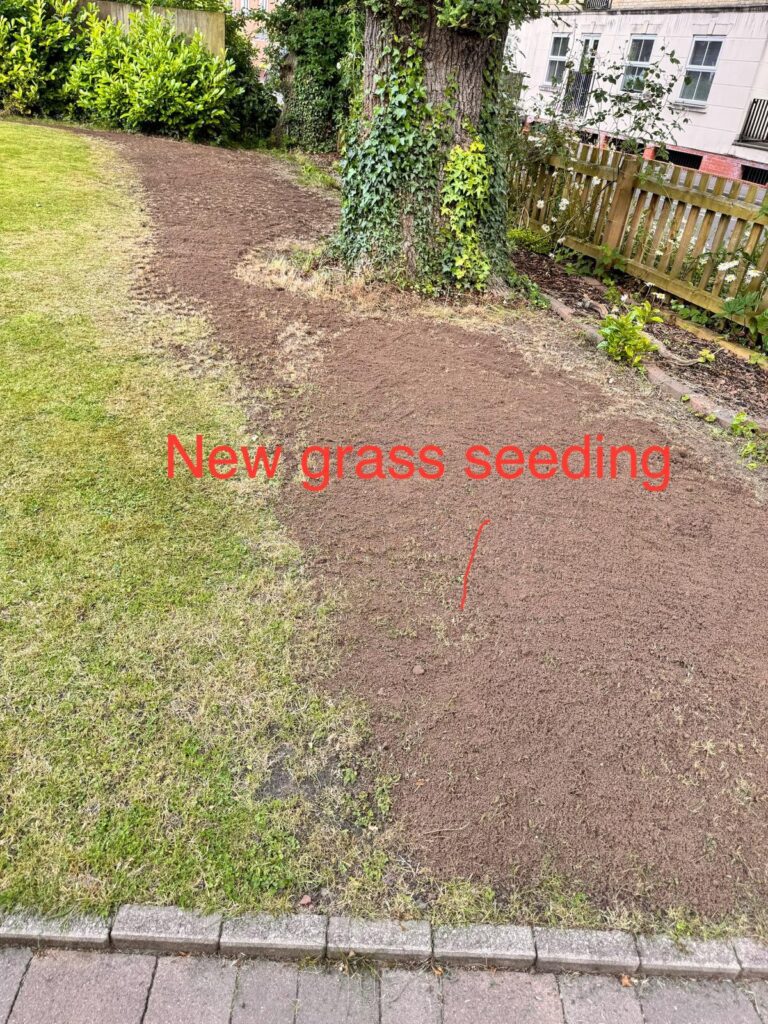 WhatsApp Image 2025-07-28 at 11.30.15 AM (6)